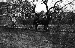 Plowing the Fields