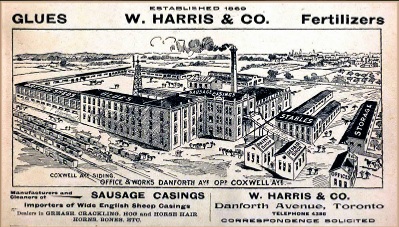 Harris Brothers & Business in Old Toronto